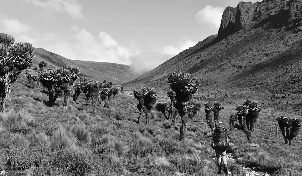 Guide to Mount Kenya Routes