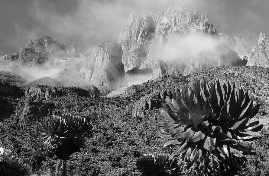 Cost of Climbing Mount Kenya