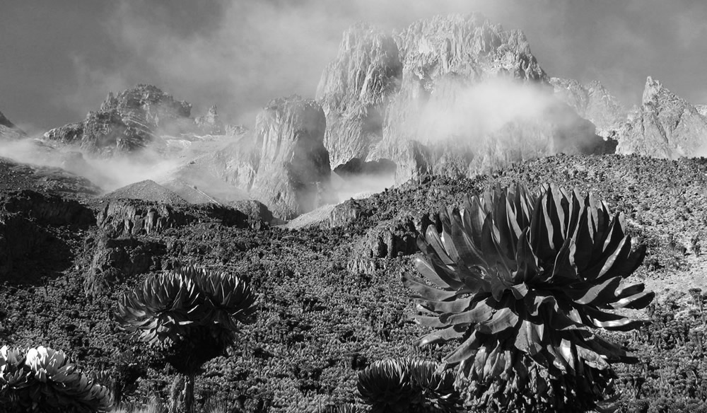 Cost of Climbing Mount Kenya