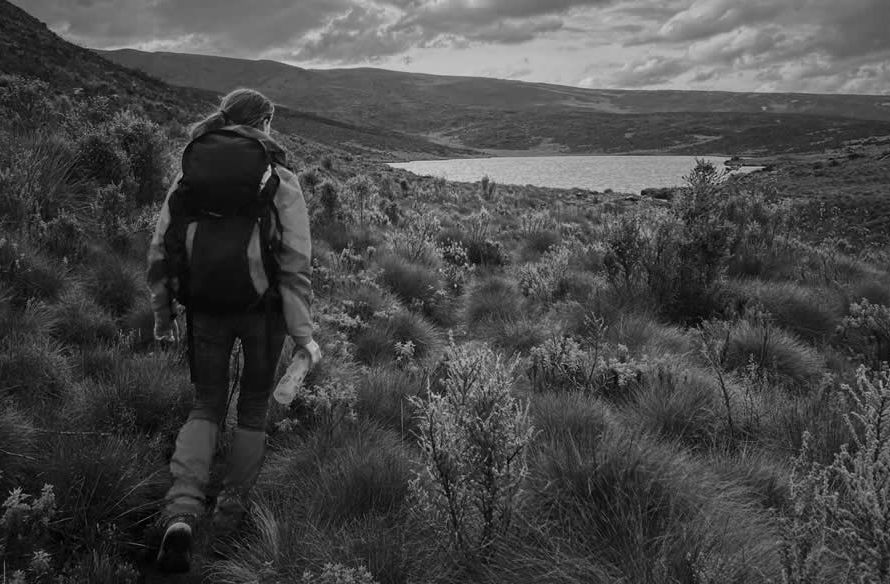 Best Time to Climb Mount Kenya