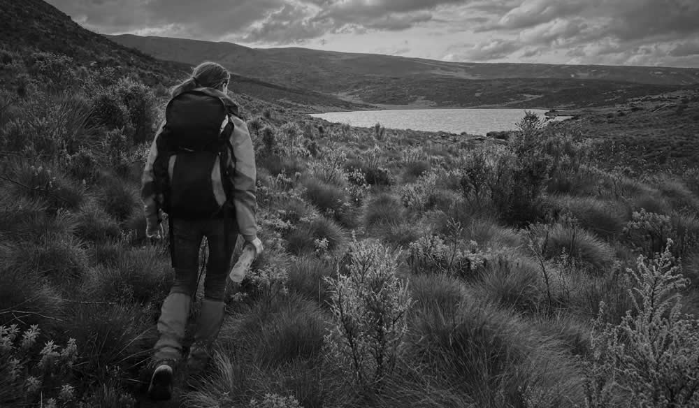 Best Time to Climb Mount Kenya